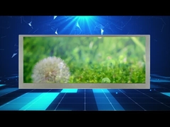 Layar Lcd Layar Lebar Resolusi 10,3 inci 1280*480 Untuk monitor Mobil