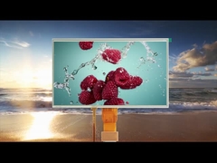 Semua sudut pandang 10,1 inci Resistive Touch LCD Module