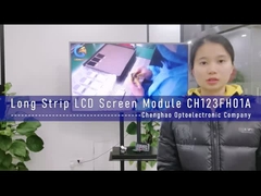 LCD Produsen 1920x720 titik 12.3 Inch Long Strip TFT Display Module