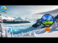 LCD Produsen Display LCD Hijau IPS TFT Ukuran Kecil