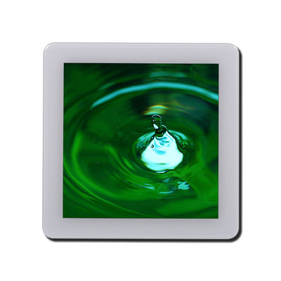 480x480 350cd/M2 St7701S Panel layar sentuh Spi Rgb Interface